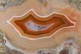 Polished Banded Agate Slice - Kerrouchen, Morocco #181385-1